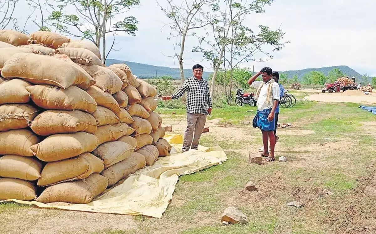 तेलंगाना में बारिश के कारण धान की बिक्री में देरी से रैयत चिंतित