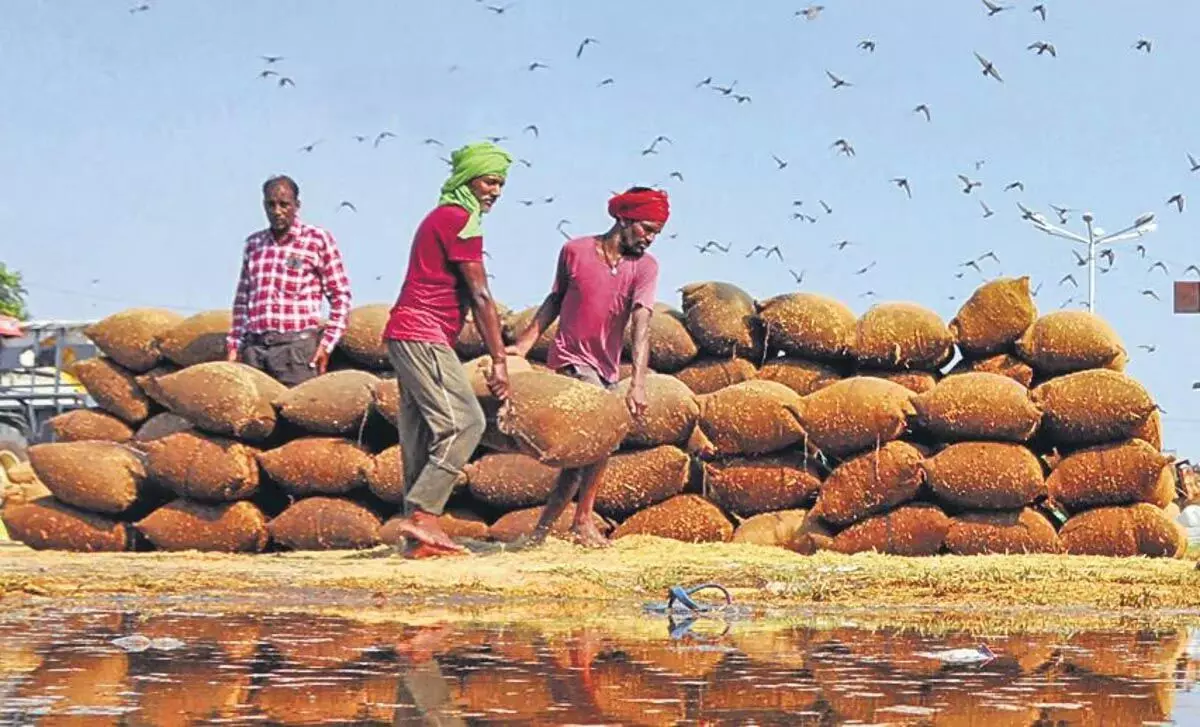 अधिकारियों ने किसानों की चिंताओं को दूर करने के लिए मेडक से अनाज स्थानांतरित किया