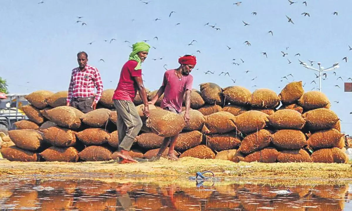 किसानों की चिंताओं को दूर करने के लिए अधिकारी मेडक से अनाज स्थानांतरित कर रहे