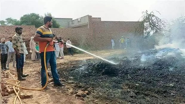 अबोहर के खेत में लगी आग से लकड़ियाँ और वाहन राख