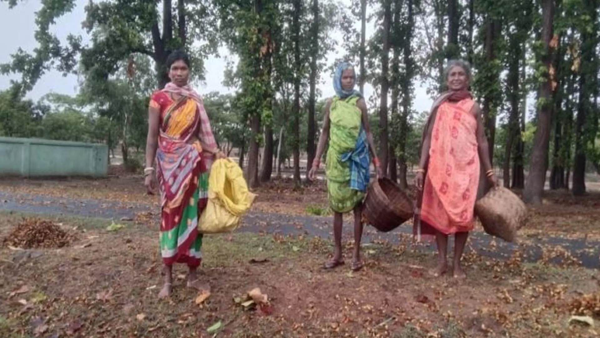 ओडिशा में बीजों की बिक्री का सहारा ले रहे आदिवासी
