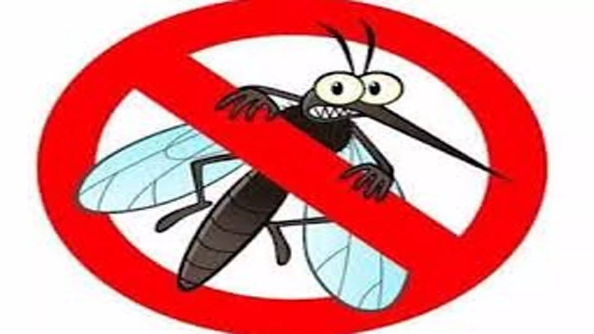 मच्छर के रोकथाम के लिए अपनाए यह घरेलू उपाय