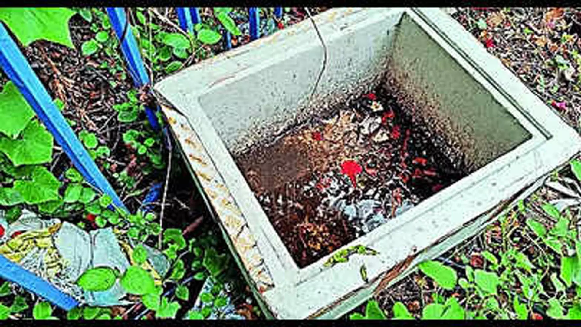 केस्टोपुर नहर के किनारे कूड़े ने साल्ट लेक में डेंगू की चिंता बढ़ा दी