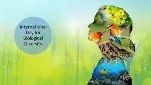 अंतरराष्ट्रीय जैविक विविधता दिवस, जानें इतिहास व महत्व