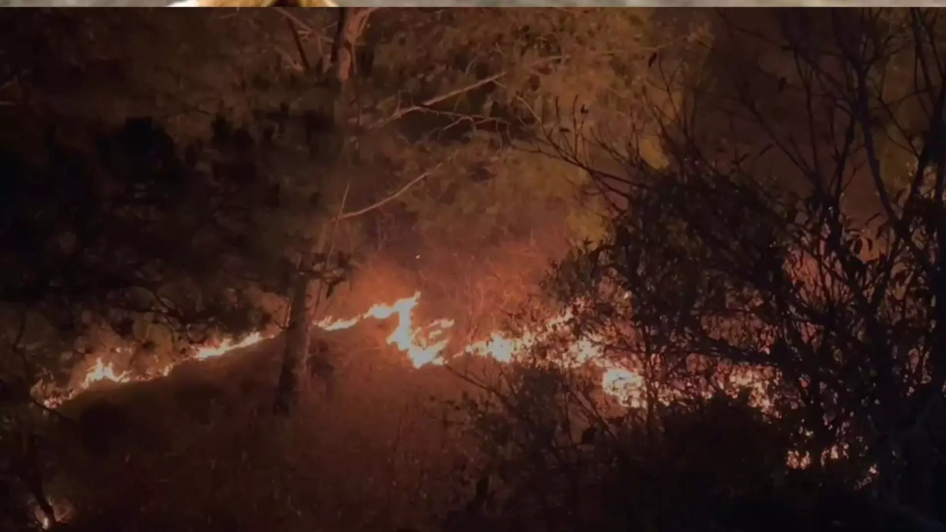 जम्मू के टांडा गांव में फैली जंगलों में भीषण आग, आसपास के गांव खतरे में