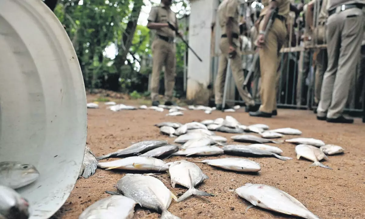 प्रदूषण कारकों पर अनिश्चितता के बीच पेरियार मछली की मौत से आक्रोश फैल गया