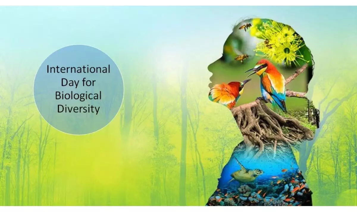 नोगोंग कॉलेज (स्वायत्त) में मनाया गया अंतर्राष्ट्रीय जैविक विविधता दिवस