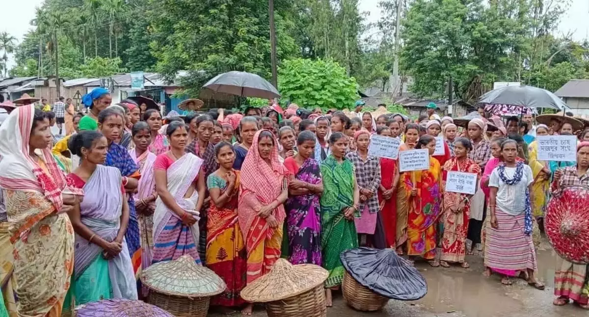 पवई चाय बागान के श्रमिकों ने विरोध प्रदर्शन किया