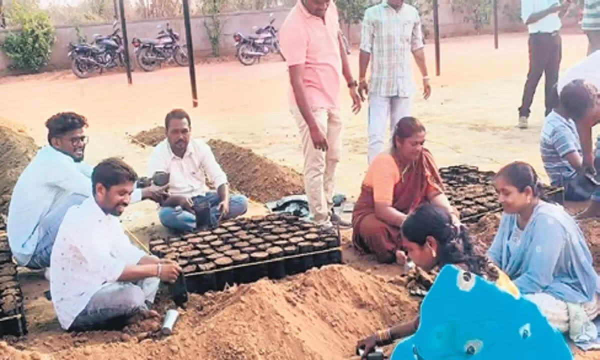 पूर्व वीआरओ की नजर राजस्व विभाग में वापसी पर, कांग्रेस सरकार पर टिकी उम्मीदें