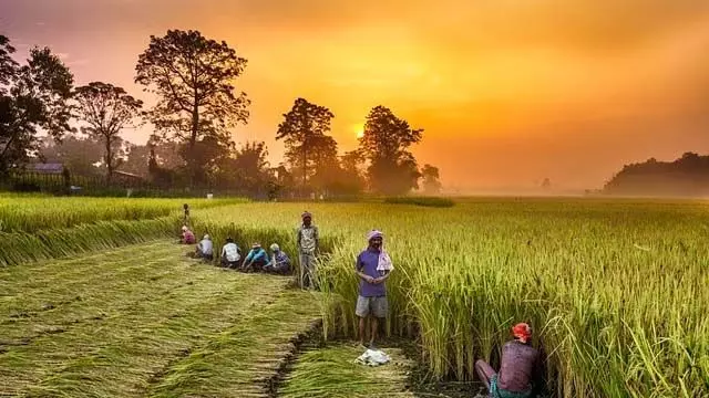 धारवाड़ के किसान ख़रीफ़ सीज़न के लिए बुआई क्षेत्र का विस्तार करने के लिए तैयार