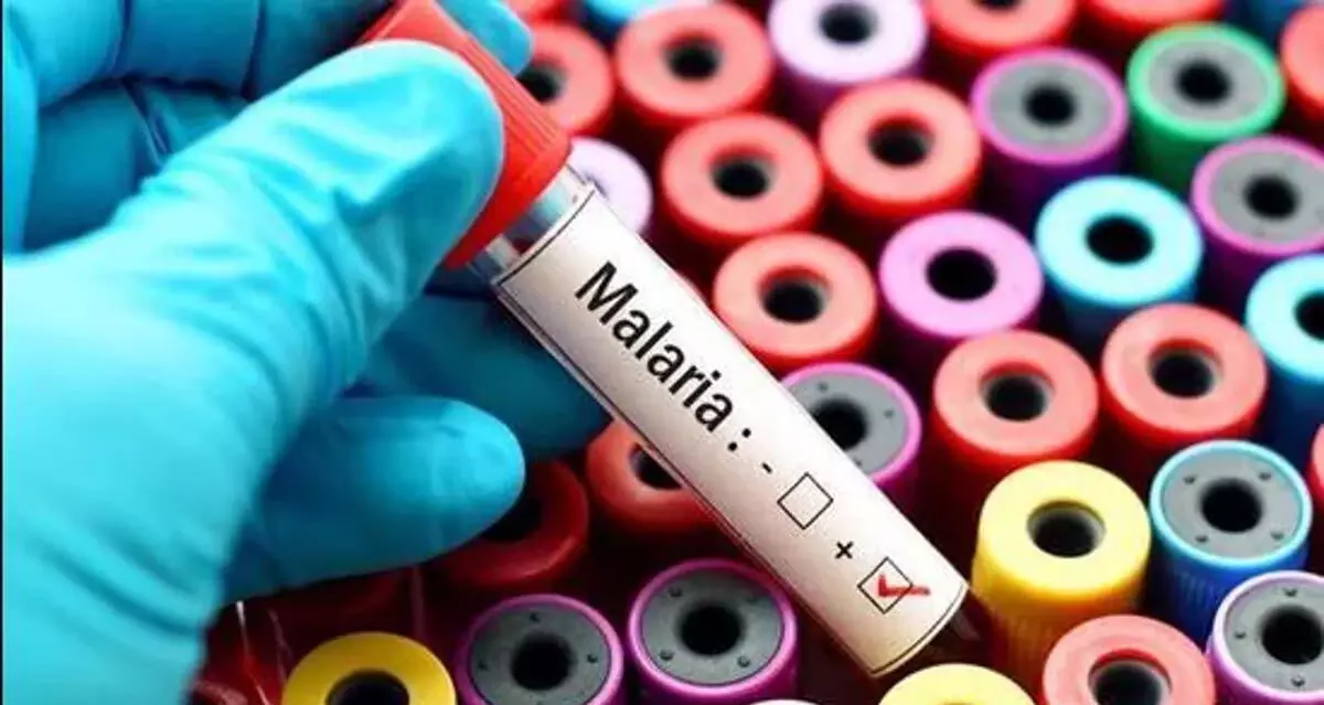 मेघालय स्वास्थ्य विभाग मलेरिया से होने वाली मौतों को आउटडोर ऑनलाइन गेमिंग से जोड़ता