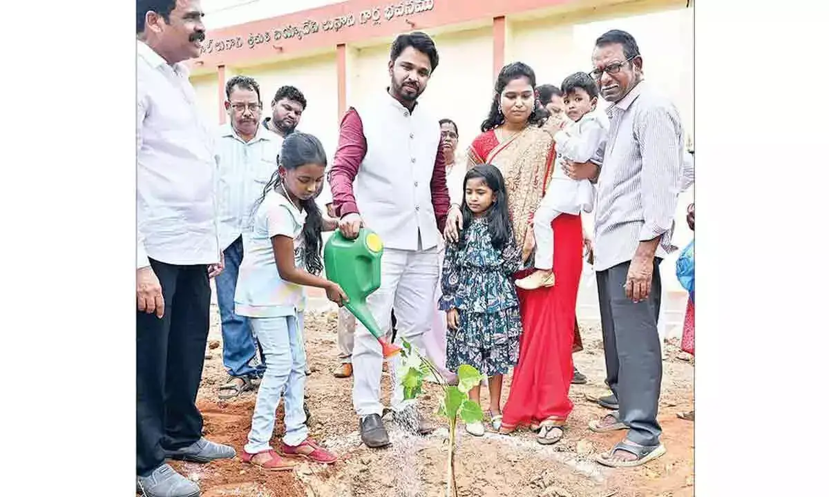 पेड़ पक्षियों की आहार संबंधी आवश्यकताओं को पूरा करने में मदद करते