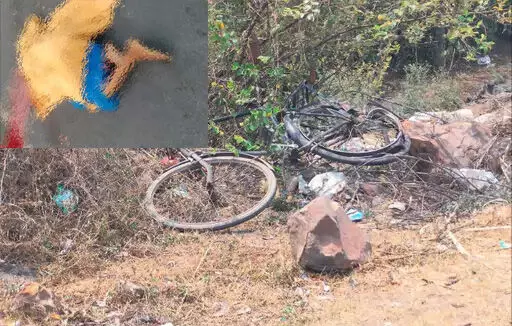 साइकिल को तेज रफ्तार वाहन ने रौंदा, पत्नी की मौत और पति घायल