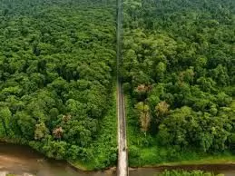 असम के अधिकारी ने वन भूमि के डायवर्जन पर नोटिस दिया