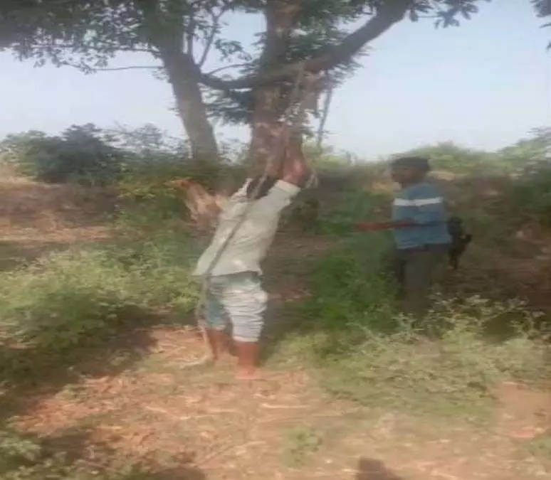 बकरी चोरी के शक में युवक को बेरहमी से पीटा, देखें VIDEO...