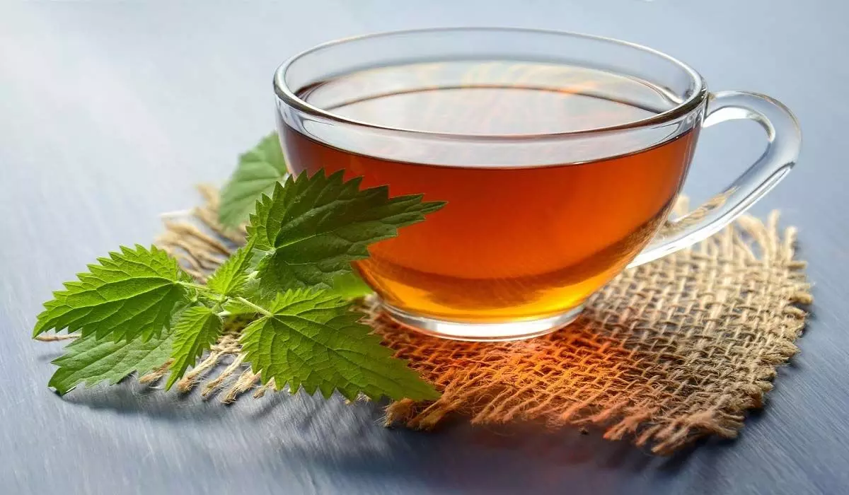सेहत के लिए बेहद फायदेमंद हैं हर्बल चाय