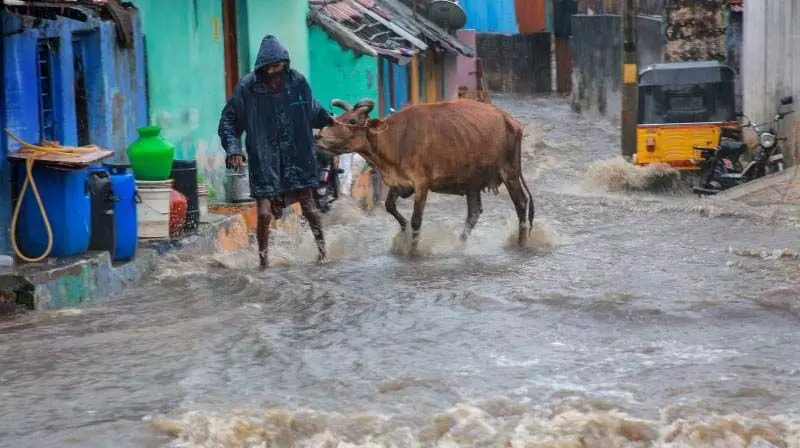 श्रीशैलम में भारी बारिश, कई इलाकों में पानी भर गया