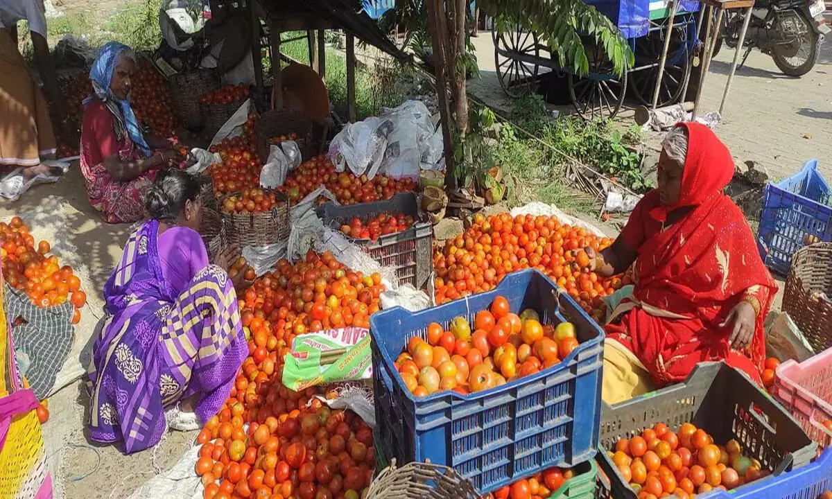 मदुरै बाजार में सब्जियों की कीमतें 50 रुपये प्रति किलो से अधिक हो गई