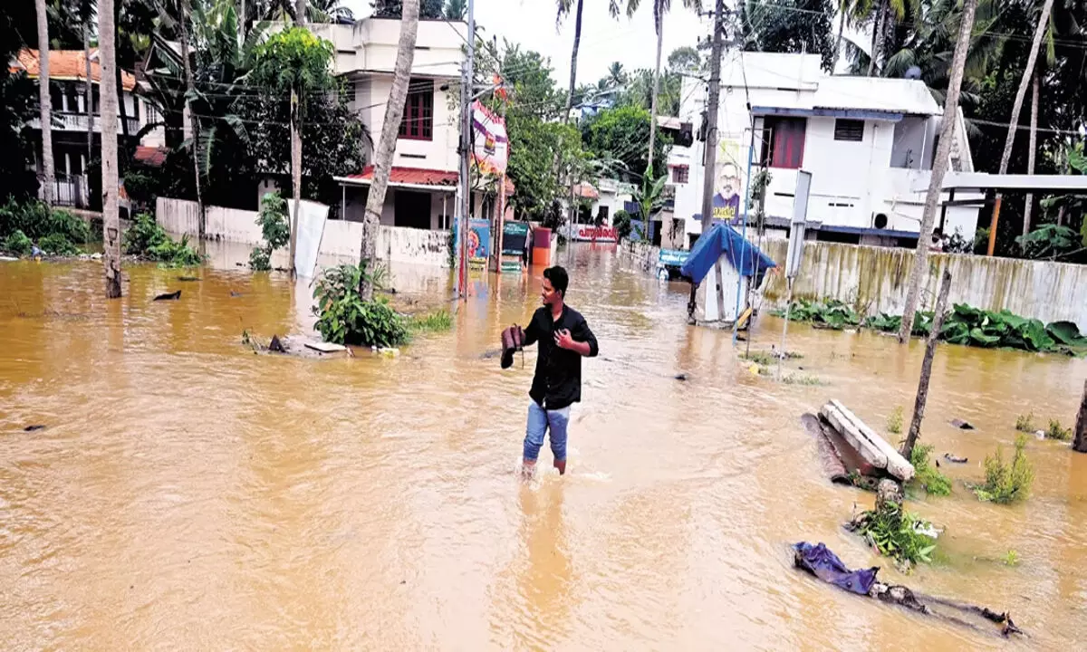 तिरुवनंतपुरम जिले में भारी बारिश से 11.9 लाख रुपये की फसल को नुकसान