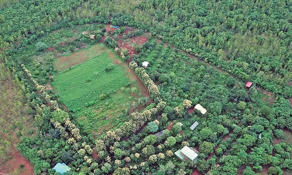 वन विभाग ने 2602 एकड़ अतिक्रमित भूमि मुक्त कराई