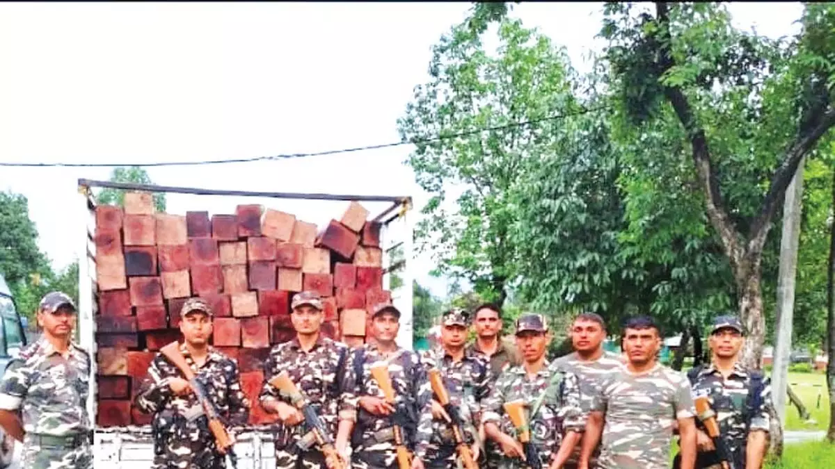असम एसएसबी ने चिरांग जिले में लकड़ी से लदा ट्रक जब्त किया