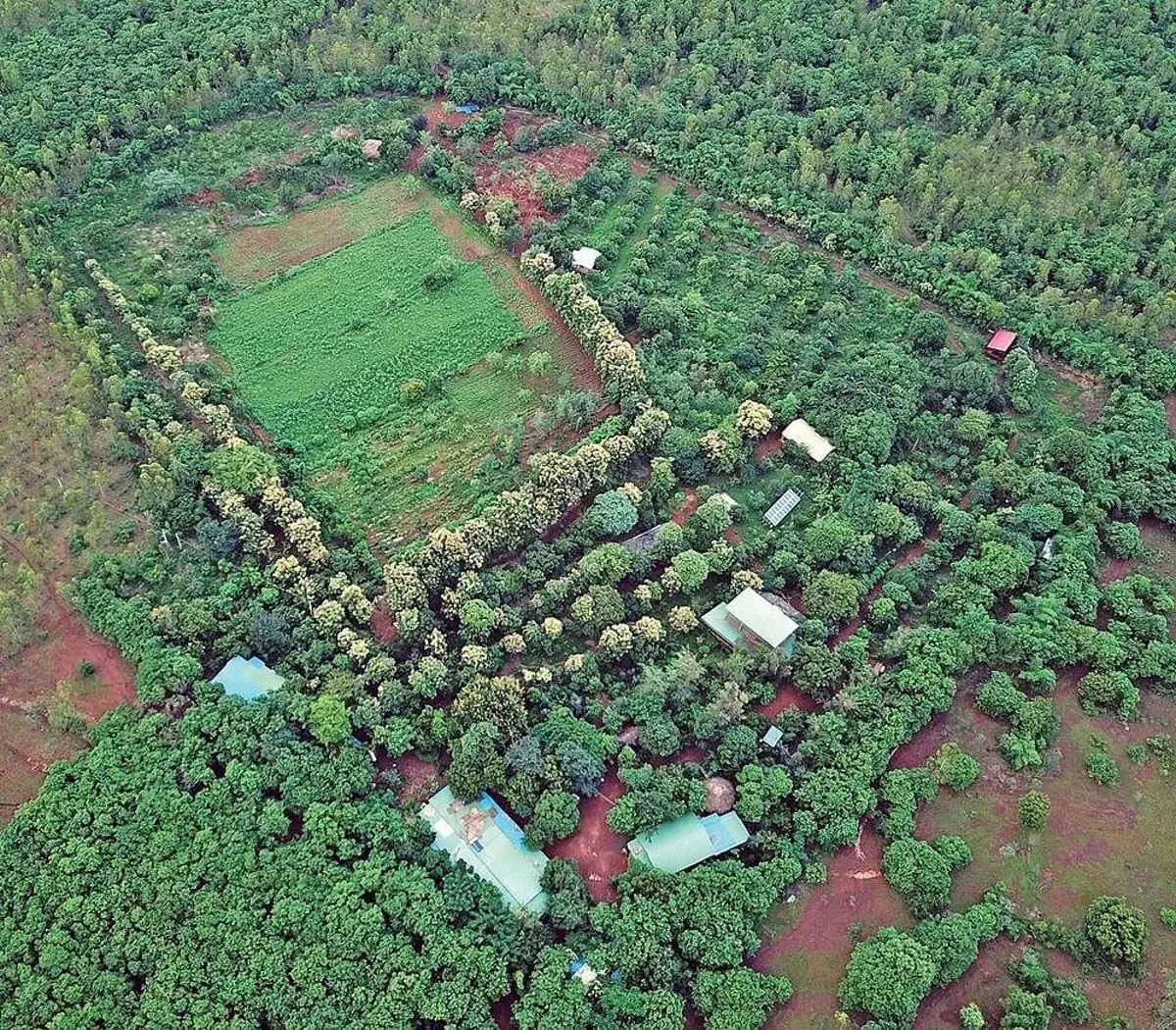 बेंगलुरु में वन विभाग ने 2602 एकड़ अतिक्रमित भूमि वापस हासिल की