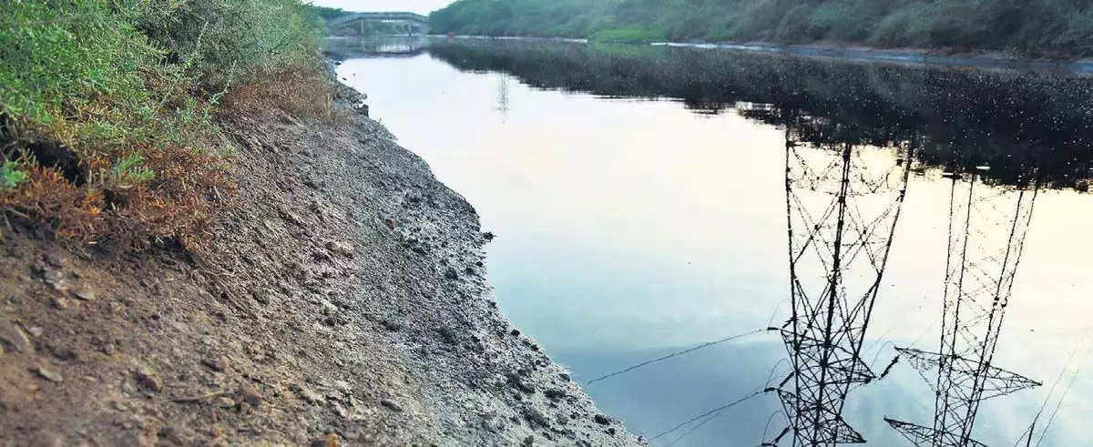 आंध्र के अंबेडकर कोनसीमा जिले में नहरों में प्रदूषित पानी छोड़े जाने से किसान परेशान