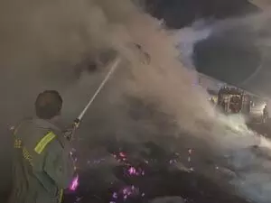 धान की पराली से भरे ट्रैक्टर-ट्रॉली में लगी आग, मच गया हड़कंप, VIDEO