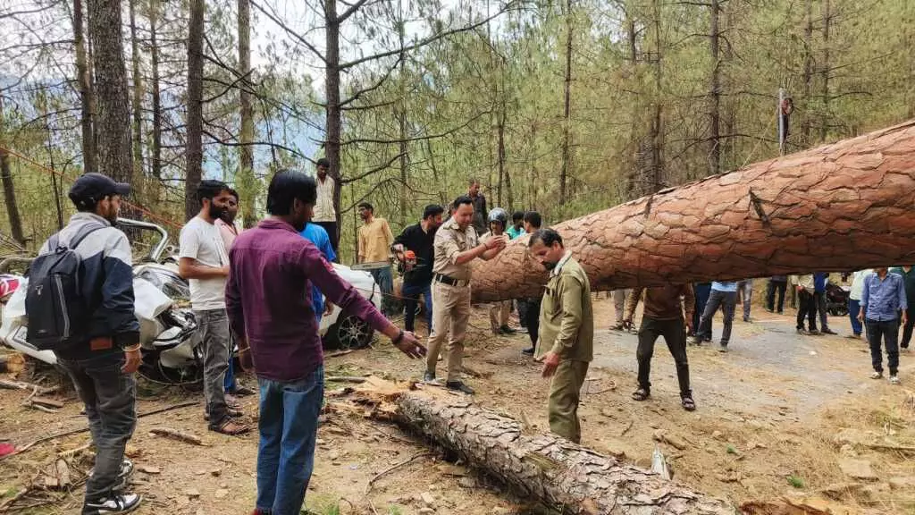 तेज आंधी से कार के ऊपर गिरा पेड़, एक व्यक्ति की मौत दूसरा घायल