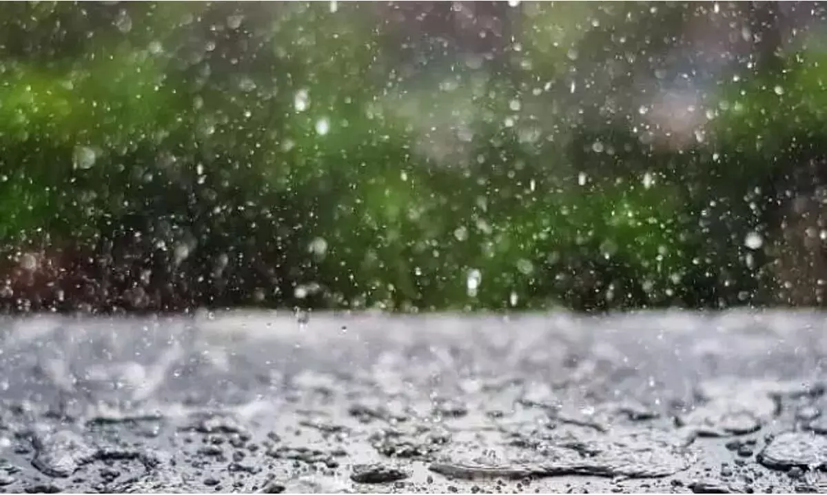 नागालैंड लगातार बारिश से 2 लोगों की मौत