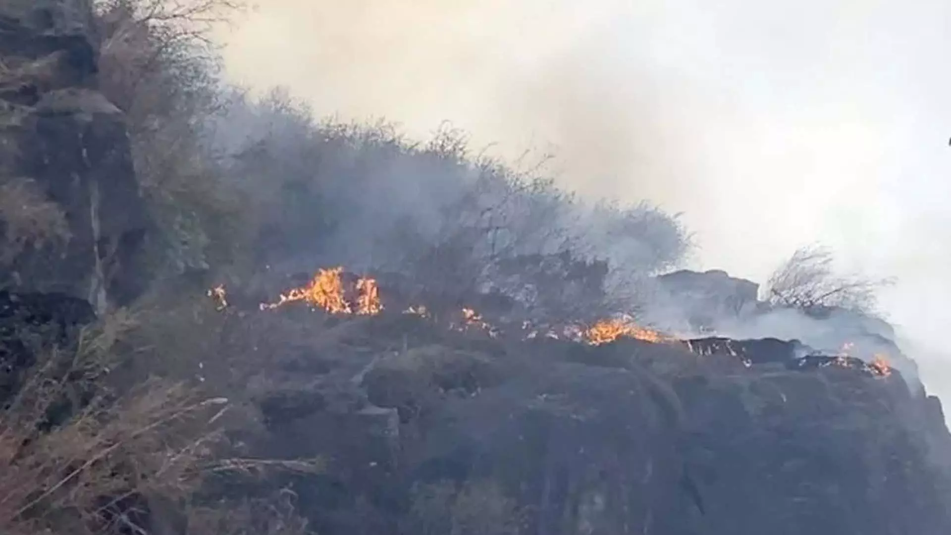 वन विभाग ने गंदेरबल में जंगल की आग के खिलाफ सलाह जारी की