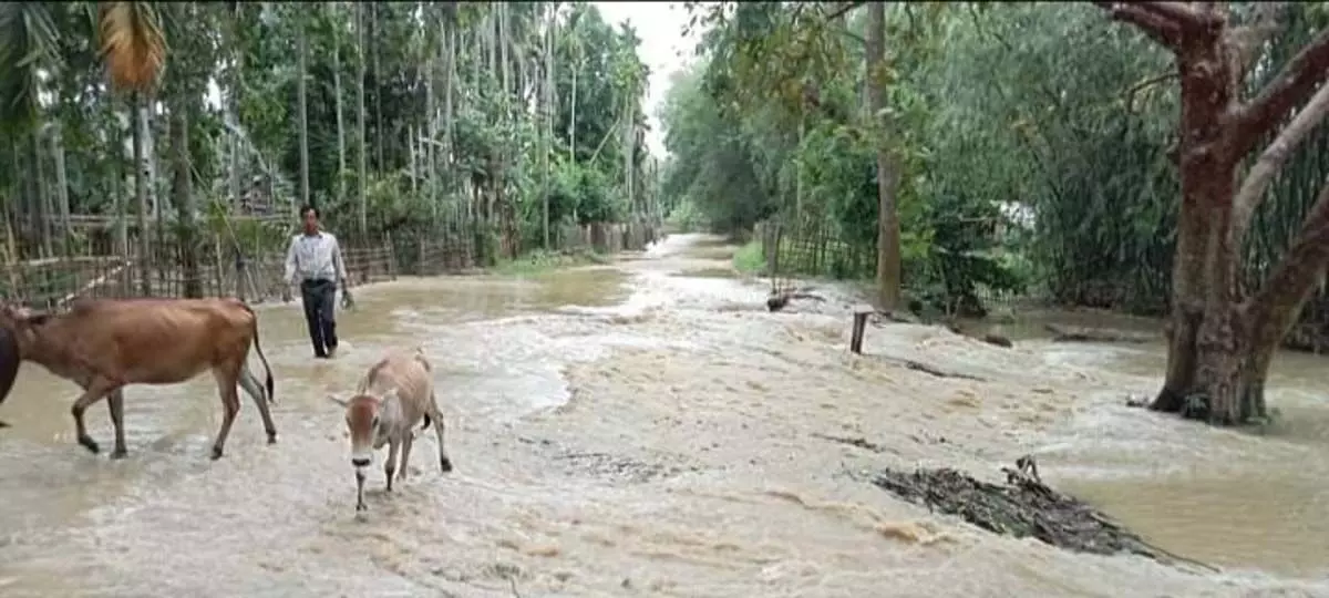 Assam :  कपिली नदी से होजाई में बाढ़ कार्बी लांगपी पनबिजली परियोजना से अतिरिक्त पानी छोड़े जाने से क्षेत्र जलमग्न