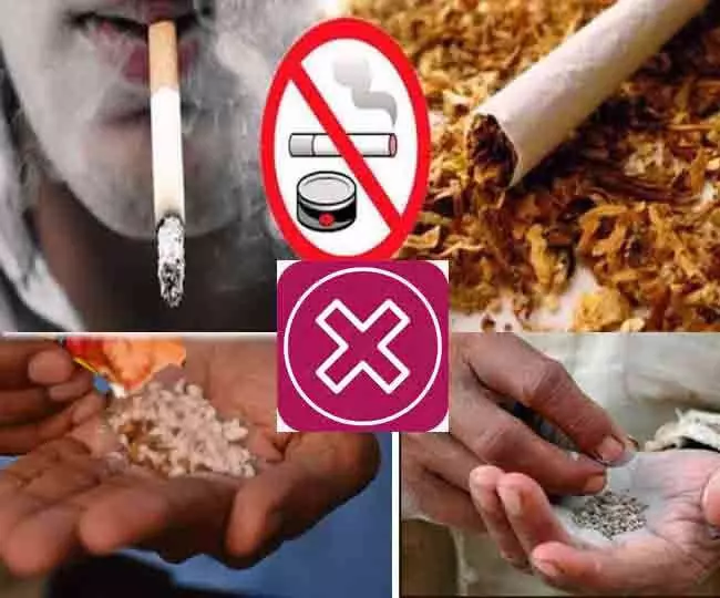 No Tobacco Day on 31st May: जानिए कैसे तंबाकू का सेवन करने से शरीर के 12 अंग खराब हो रहे हैं