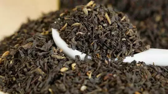 Boiled tea leaves: उबली चाय पत्ती फेंकने के बजाय इस तरह करें इस्तेमाल