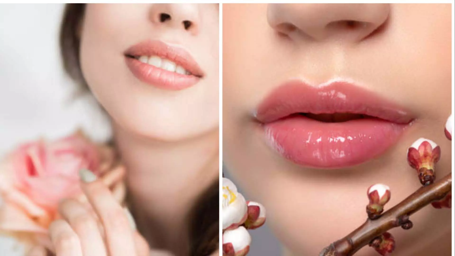 Skin care: होंठों पर जमी डेड स्किन घटाती हैं खूबसूरत बनाने के लिए आजमाए लिप स्क्रब