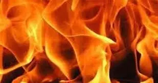 Jhansi: शार्ट सर्किट से स्कूल में लगी आग,  अफरातफरी