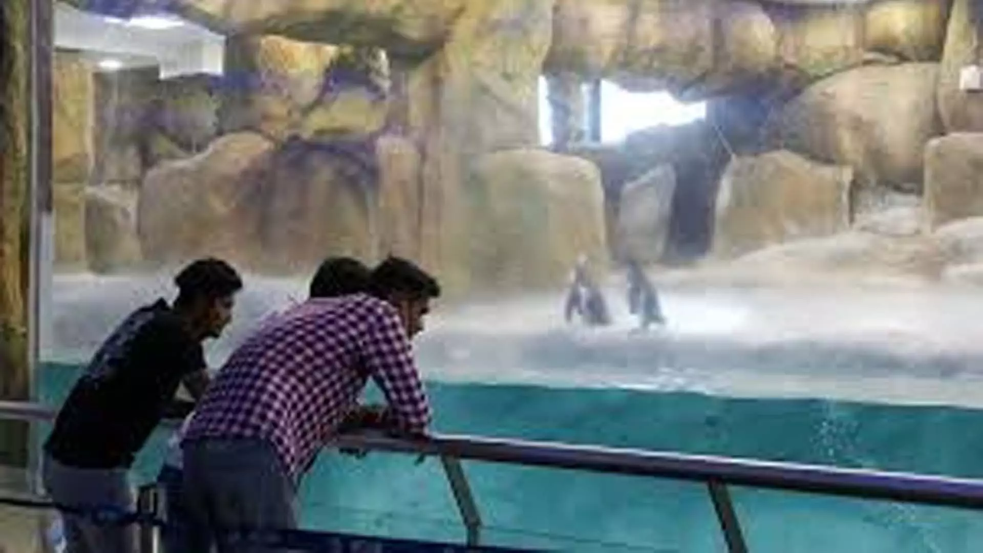 Mumbai: भीषण गर्मी के कारण Byculla zoo में पर्यटकों की संख्या में 24% की गिरावट