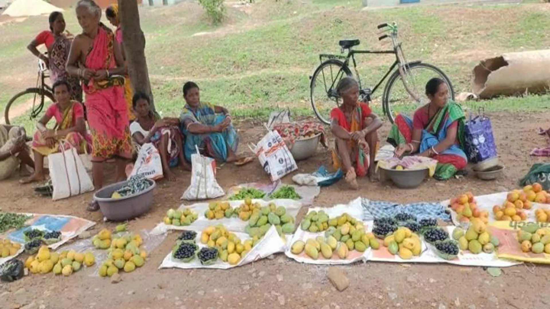 Kendujhar district: स्थानीय आम लोगों की मांग में गिरावट से आदिवासियों की आबादी प्रभावित हुई