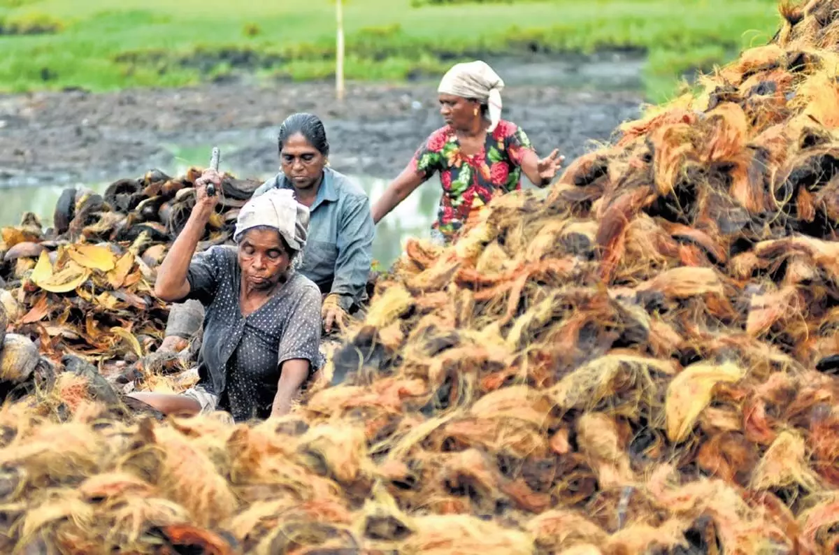 Kerala: केरल में कॉयर उद्योग के लिए लैंगिक वेतन असमानता, अपर्याप्त विपणन अभिशाप