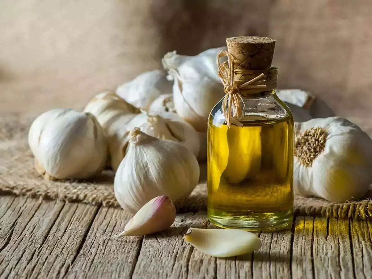 BENIFIT OF GARLIC : क्या आप जानते है लहसुन के फायदे ? ये कुछ लहसुन के फायदे जानिए