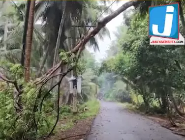 Cyclone Remal: पूर्वी राज्यों में भारी बारिश और भूस्खलन से कई लोगों की मौत, सीएम विष्णुदेव साय ने जताया दुःख
