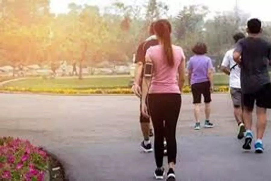 Health Tips: नियमित रूप से पैदल चलना शारीरिक स्वास्थ्य के साथ दिमाग को बनाता बेहतर