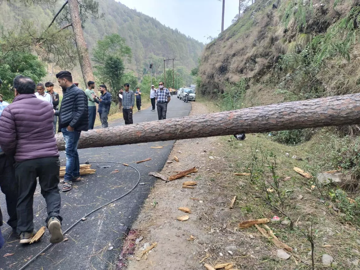 Almora : तेज आंधी-तूफान में पेड़ के नीचे दबने से एक की मौत, नौ घायल