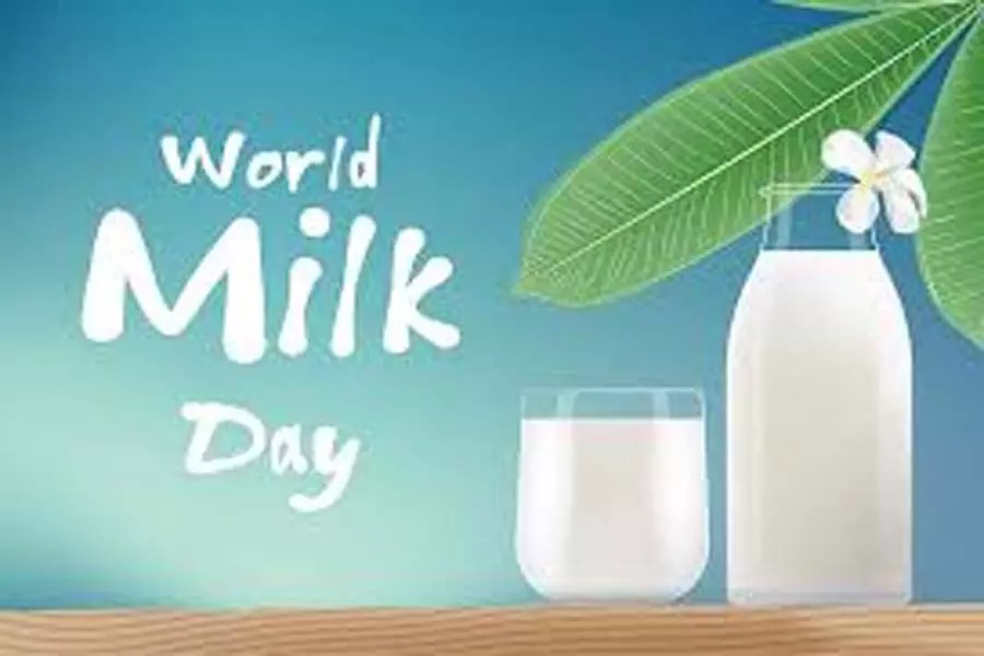 World Milk Day : दूध की पोषकता से खिलवाड़