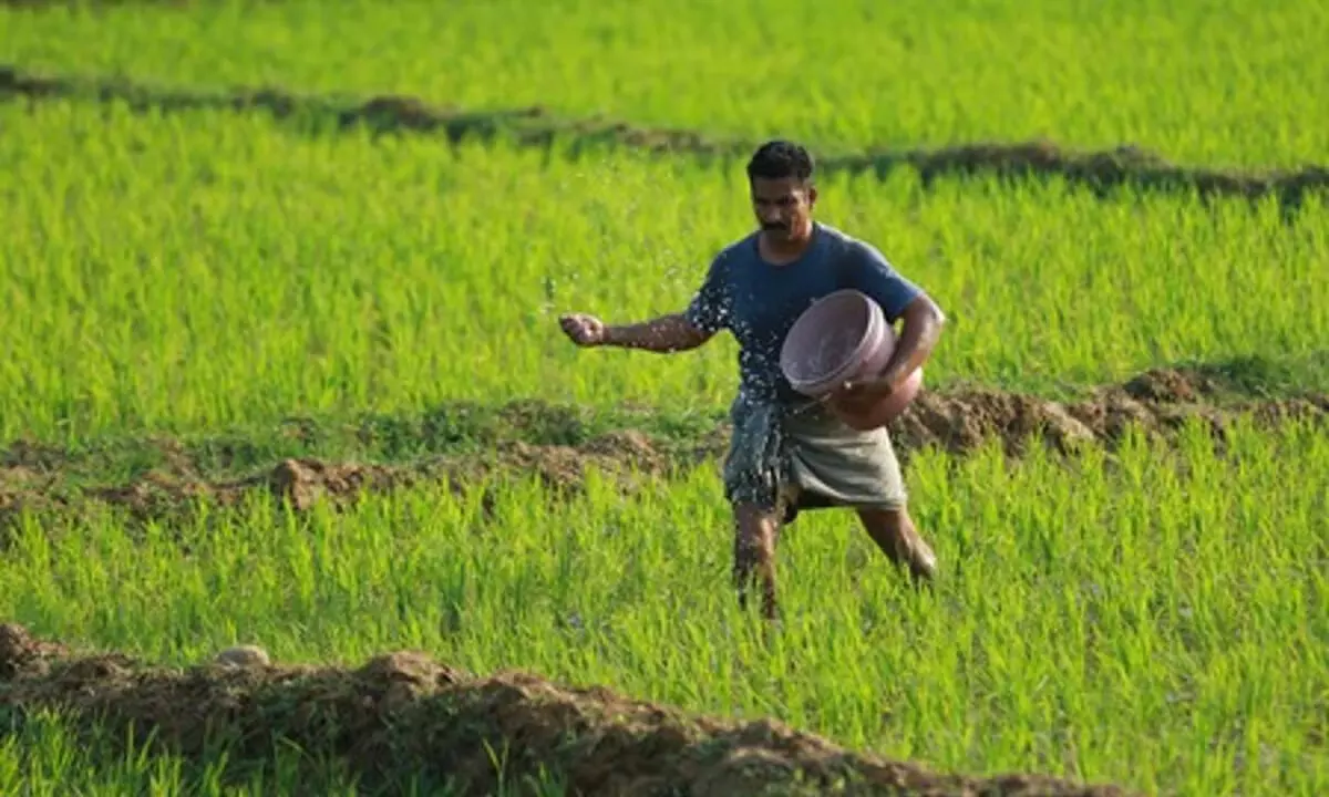 Kerala News: केरल के किसानों को उपज के मूल्य संवर्धन के माध्यम से आय बढ़ाने के लिए मार्गदर्शन