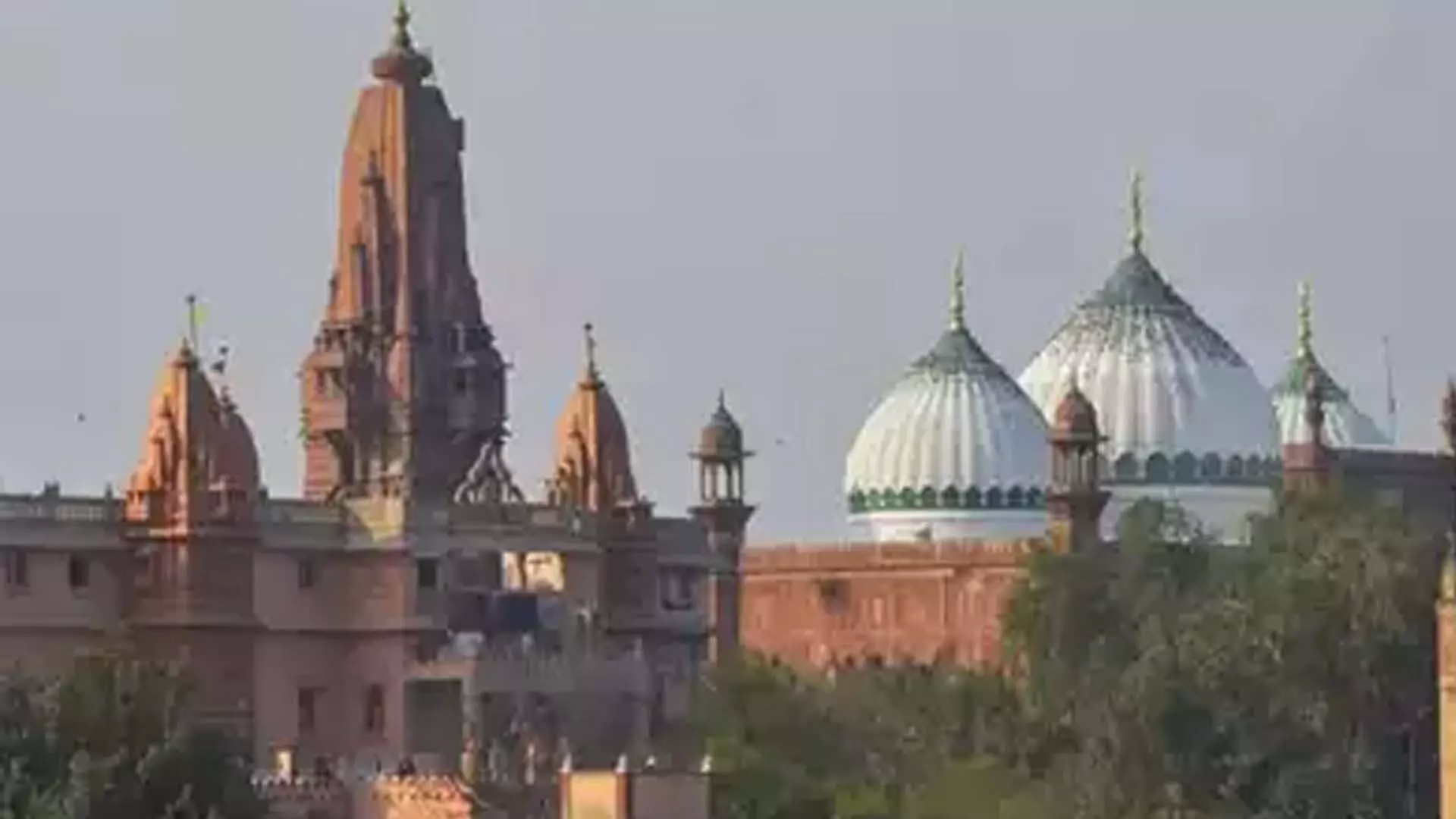 Allahabad High Court ने शाही ईदगाह मामले को फिर से खोला, 4 जून को मुस्लिम पक्ष की सुनवाई होगी