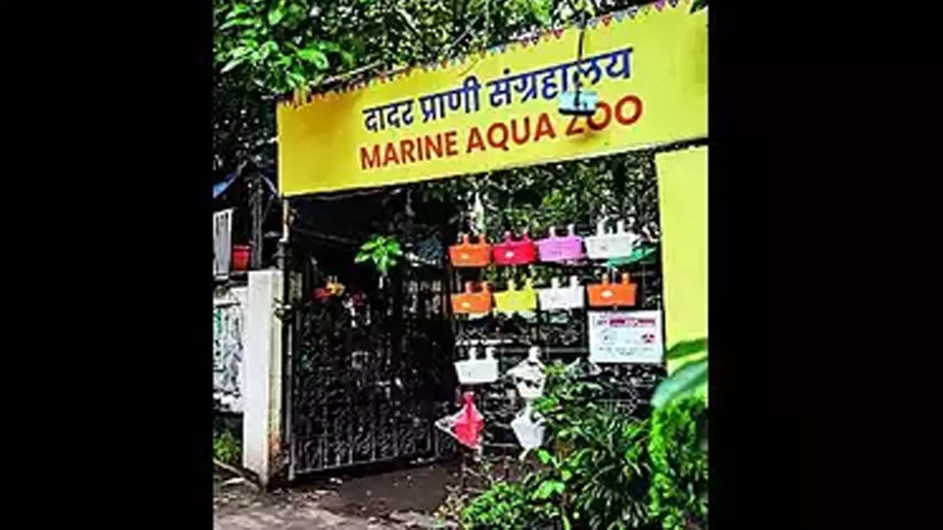 Mumbai: मेनका ने दादर स्थित निजी चिड़ियाघर के खिलाफ कार्रवाई की मांग की