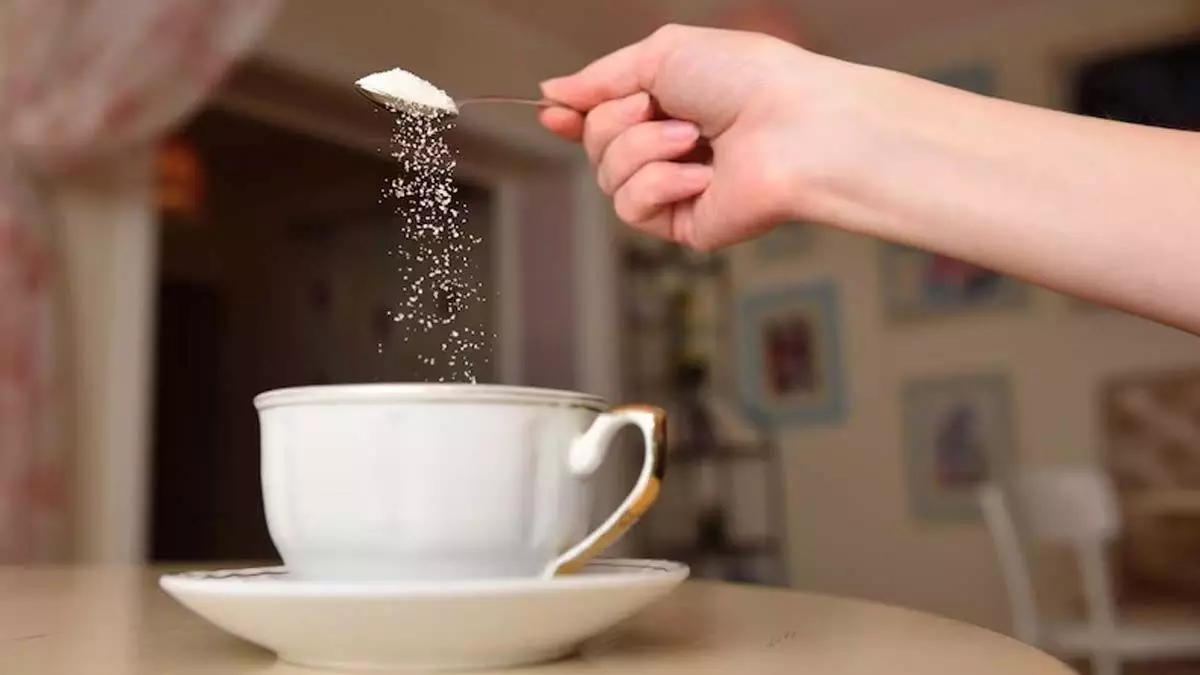 Salt Tea: चाय में नमक डालकर पीने से शरीर को होंगे फायदे