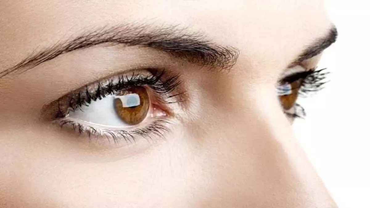 Protects the eyes: आंखों को लंबे समय तक सही सलामत रखने के लिए जानिए क्या करें?