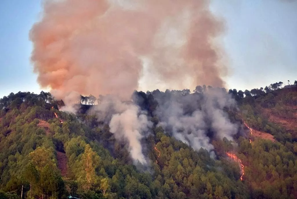 Mandi: नाचन, मंडी, सुकेत और जोगिंदरनगर वन प्रभागों में जंगलों में आग लगने की सबसे ज्यादा घटनाएं सामने आई